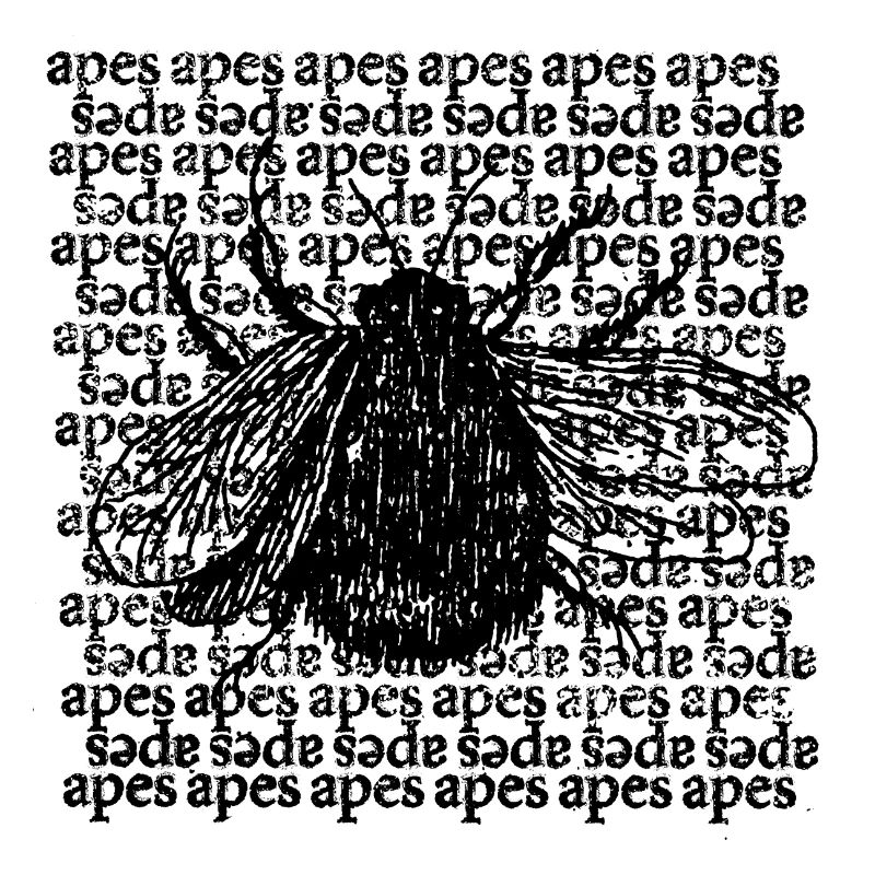 Abeille