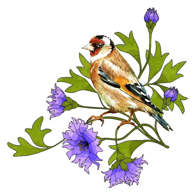 Bunter Vogel