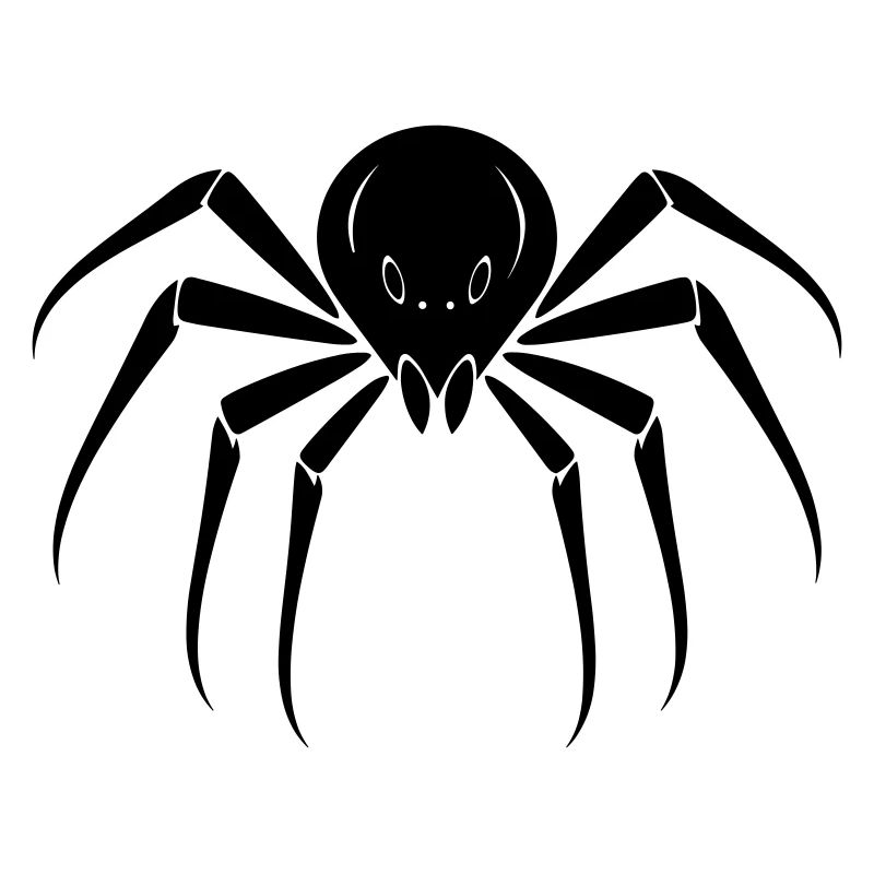 Spinne