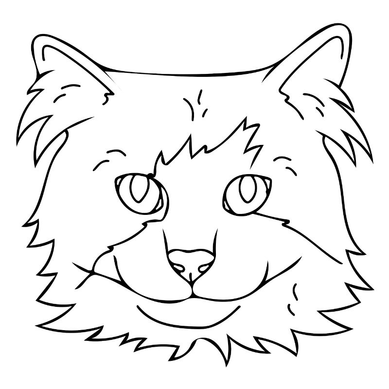 Katze