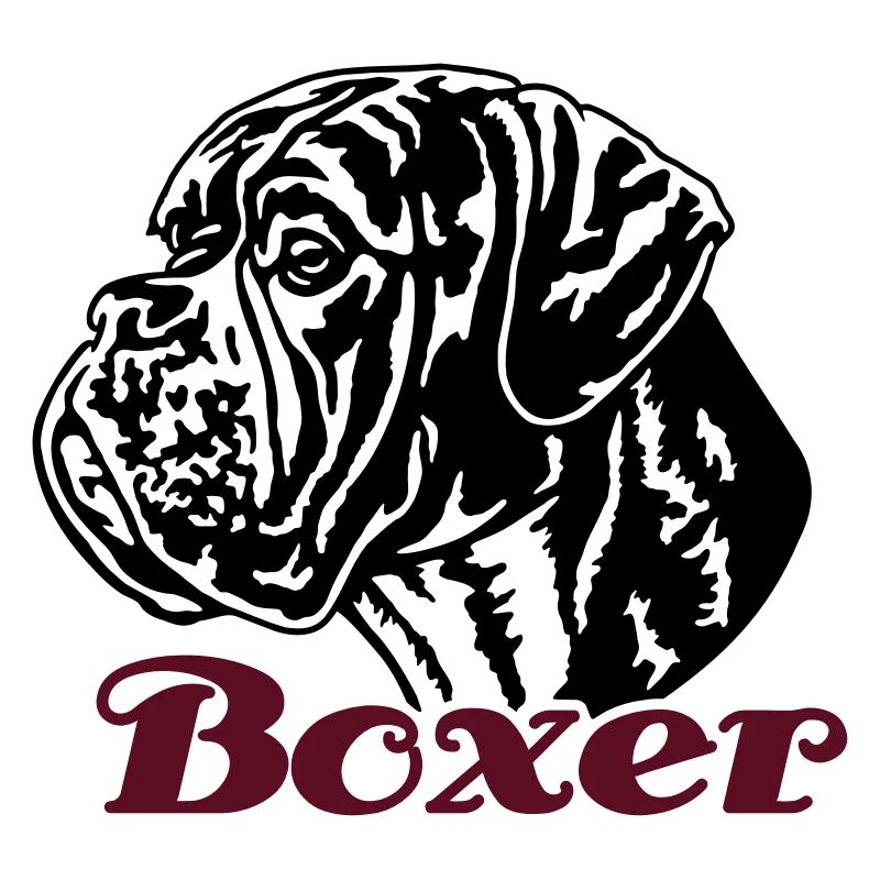 588 Boxer