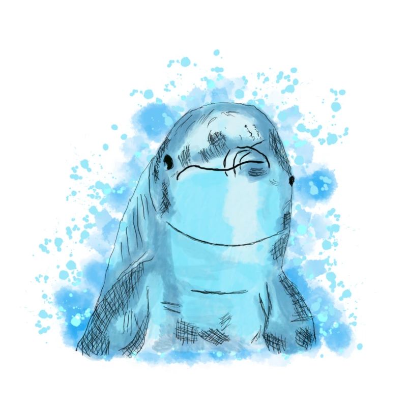 Delfin