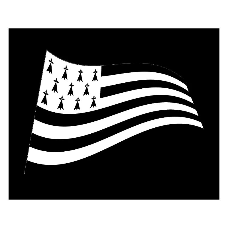 drapeau breton dans le vent