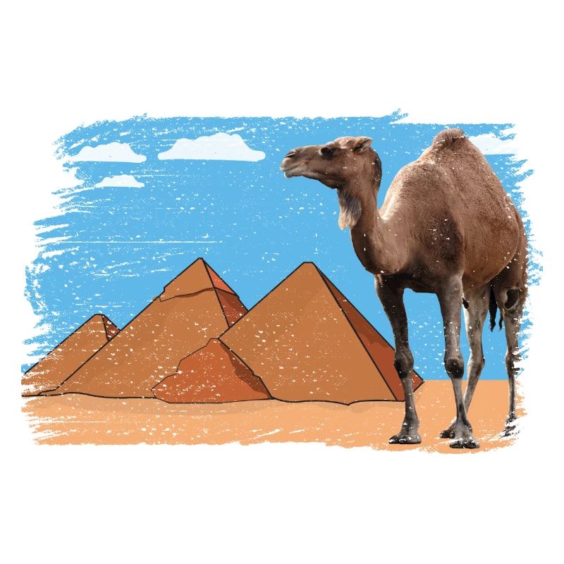 Chameau devant les pyramides