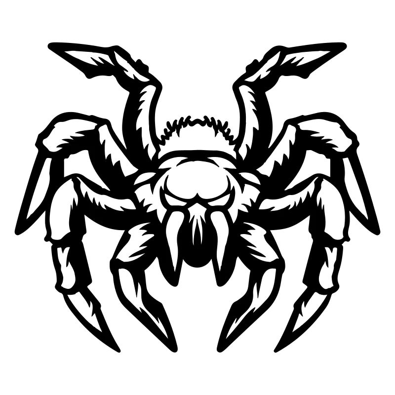 araignée