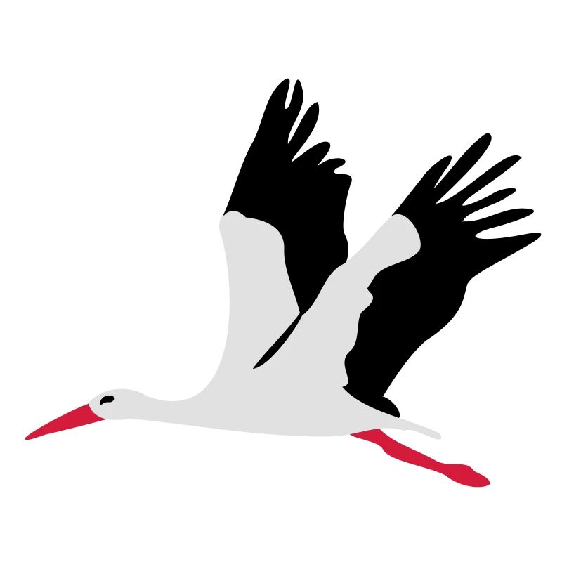 Storch