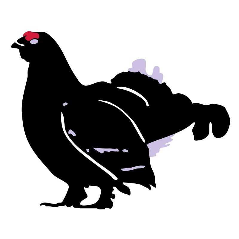 coq de jeu