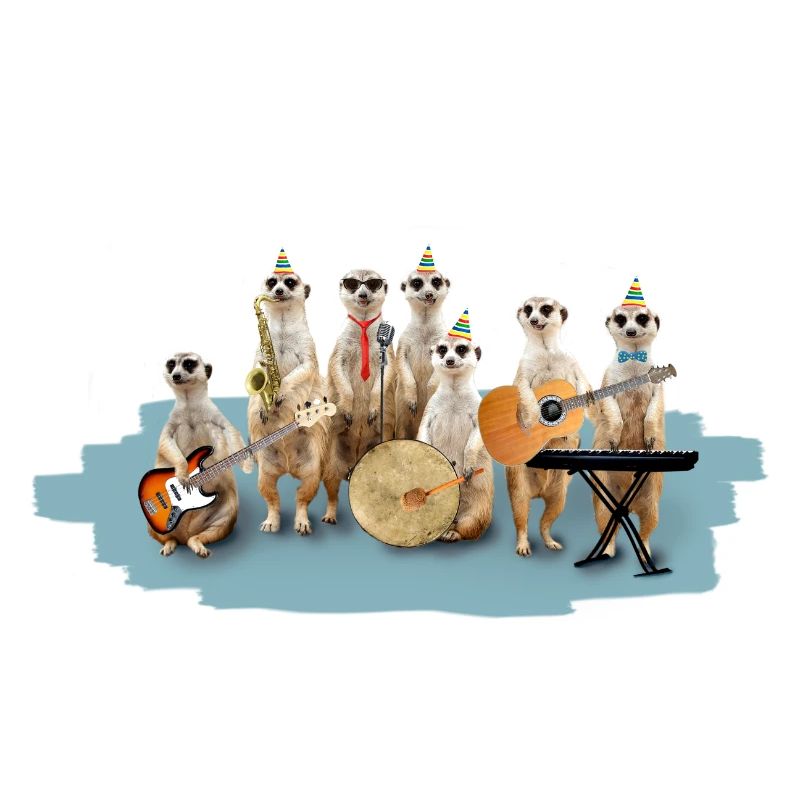 Erdmännchen