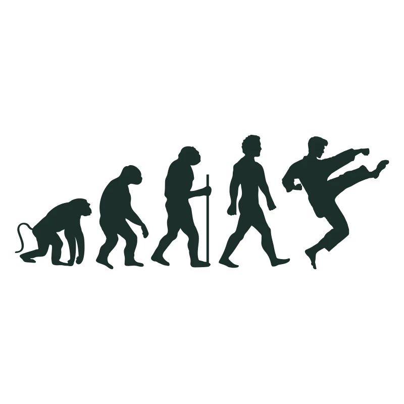 Karaté Évolution