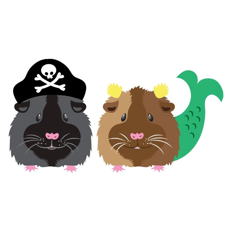 Cochon d’Inde à barbe noire avec cochon d’Inde sirène