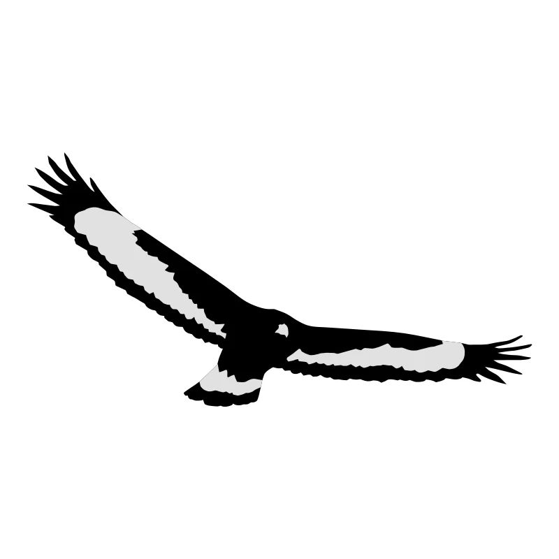Aigle