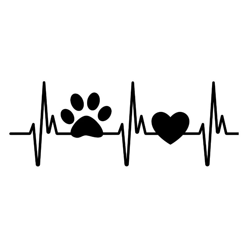 amour des animaux