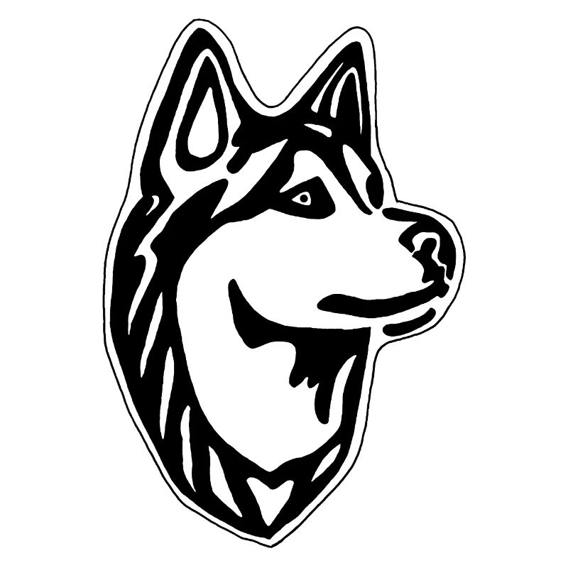 Chien husky