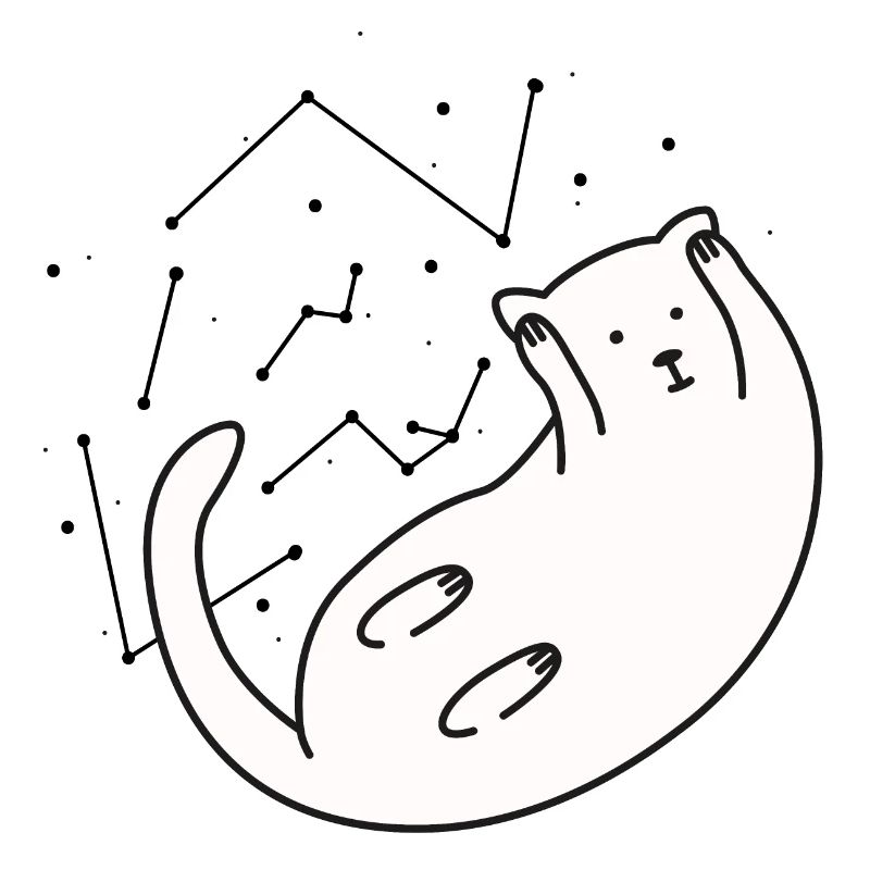 Space Cat version 2