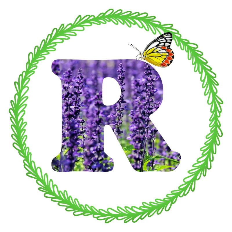 lavendel r