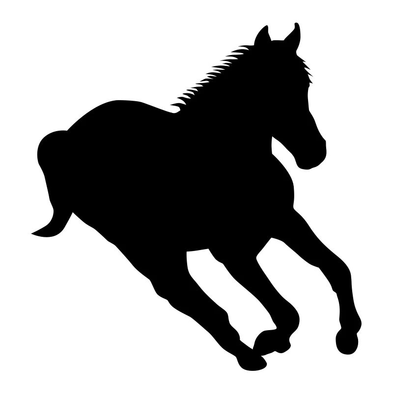 Rennendes Pferd - Wildpferd
