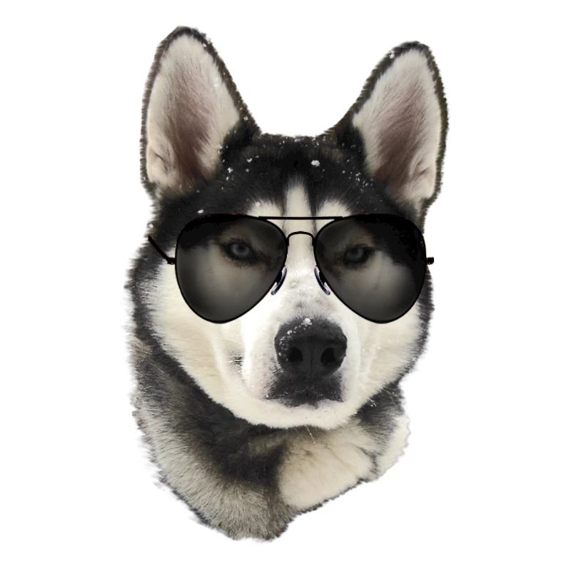 Husky Sonnenbrille Stil