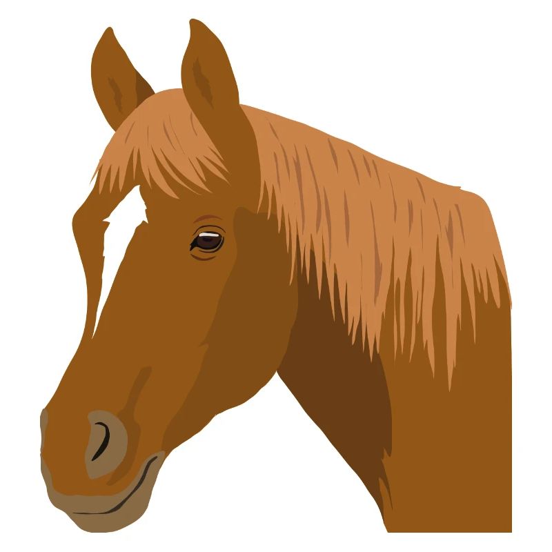Pferdekopf Pferd braun