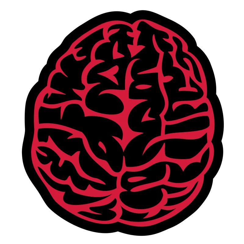 brain