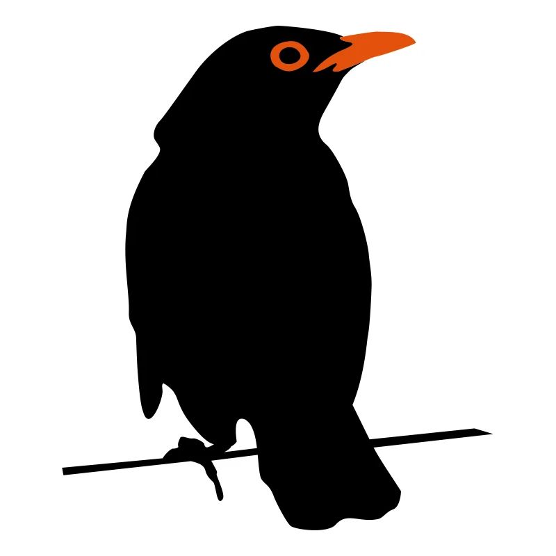 Amsel