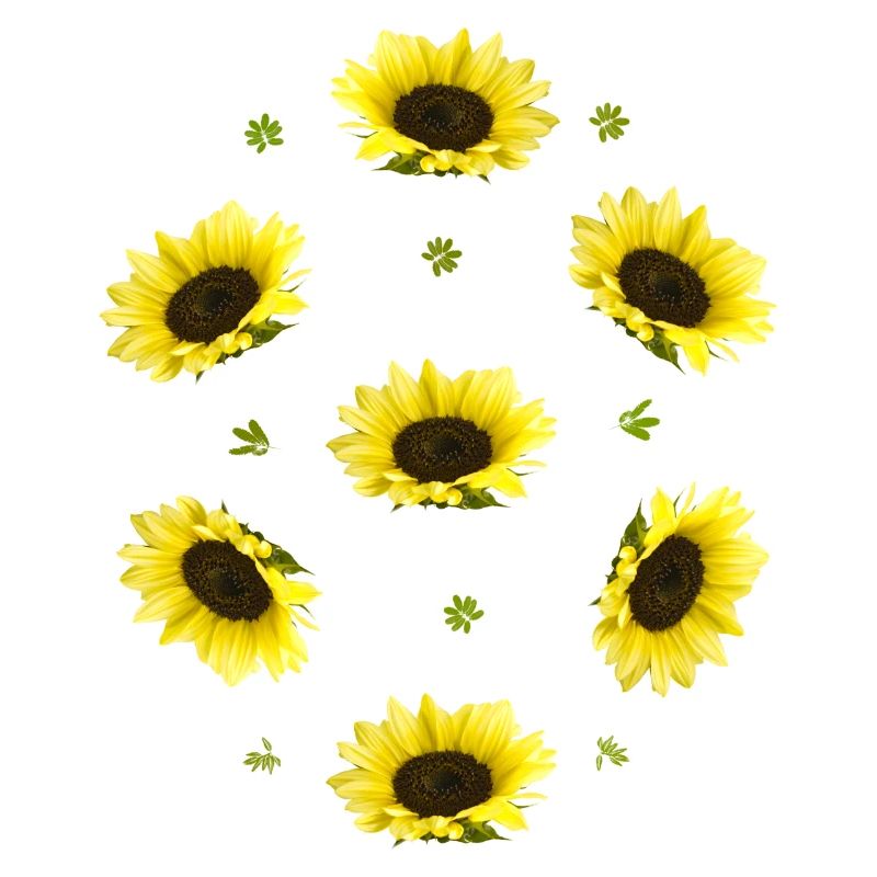 Sonnenblumen