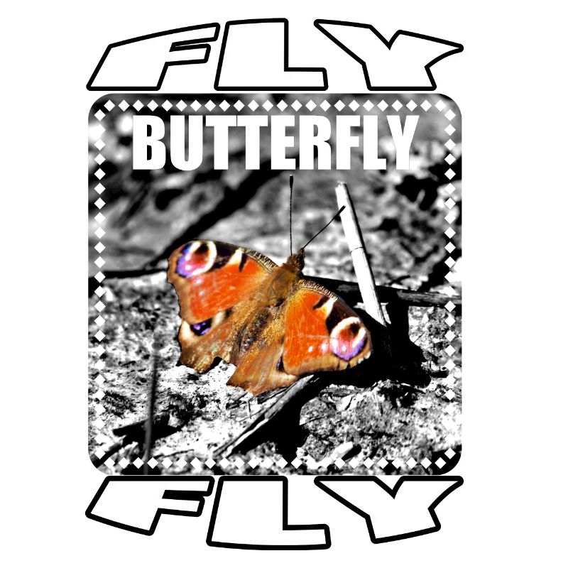 Papillon Butterfly