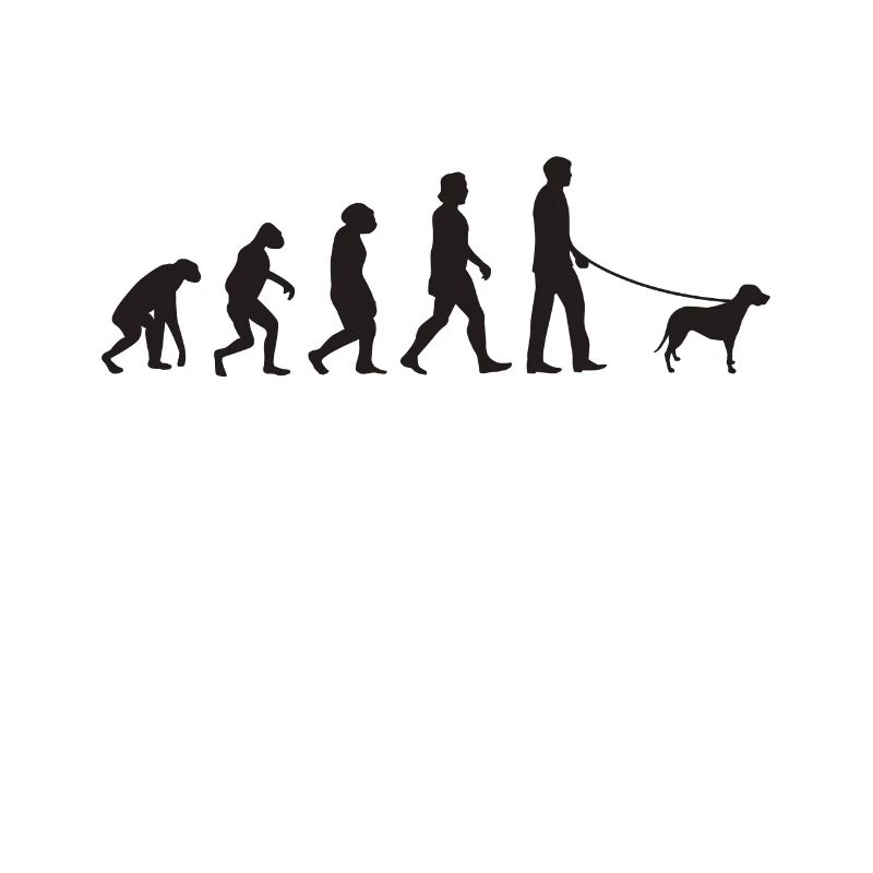 Brandlbracke Evolution Bracke Hund Jagdhund