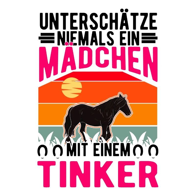 Irish Tinker Pferd Mädchen Tinkerpferd