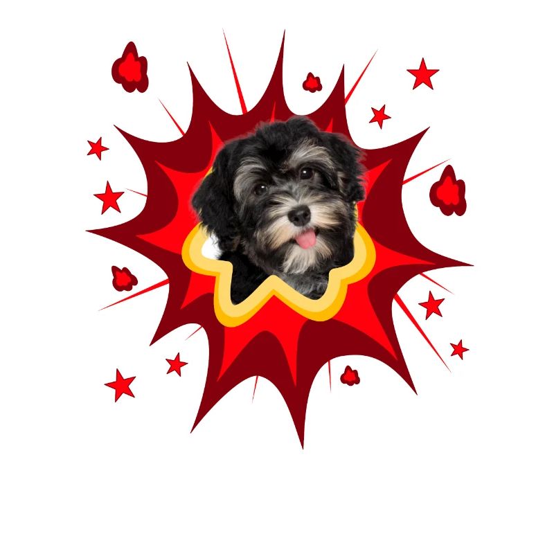 Comic Dog Design - Pow - Havanese