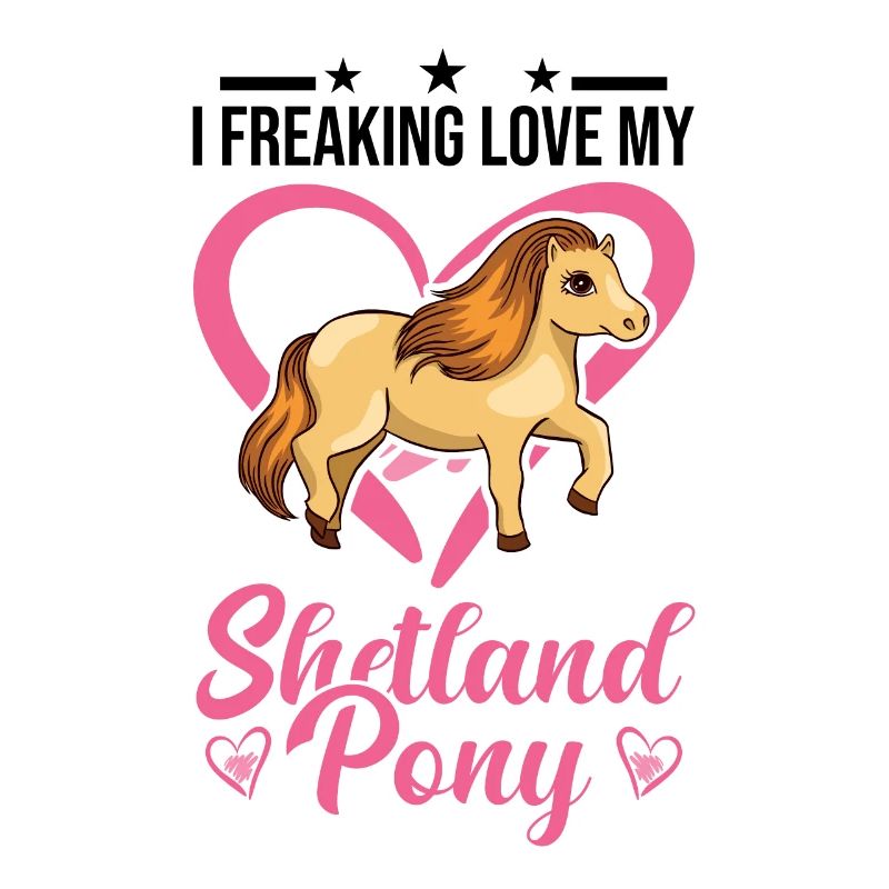 Shetland Pony Gift Shetty