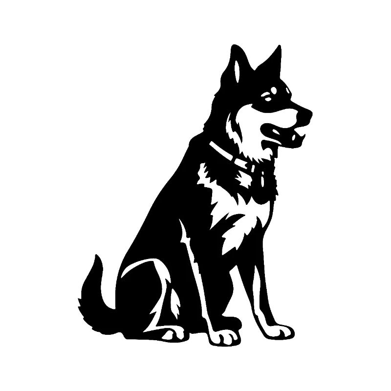 Husky Hund