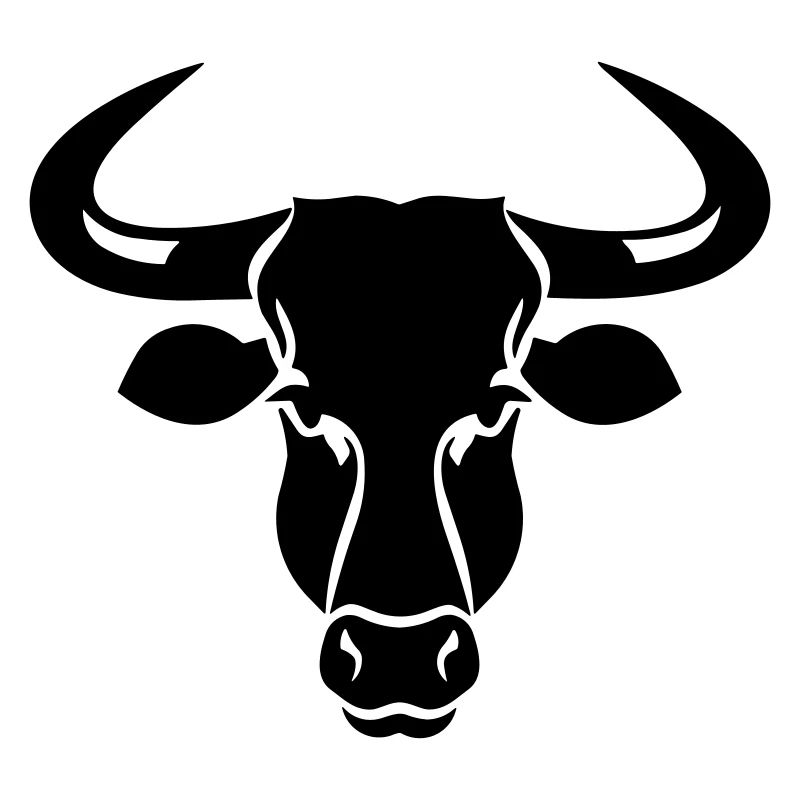 Stier