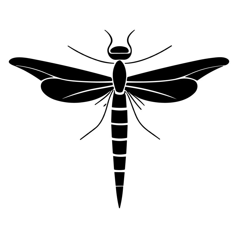 LIBELLE 7