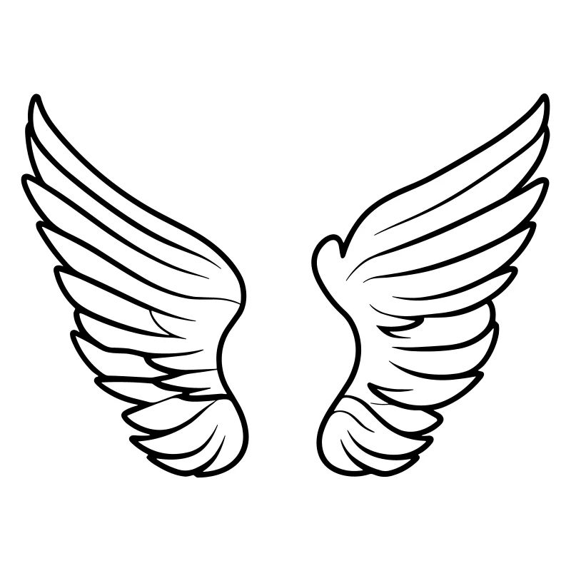 Ailes d'ange