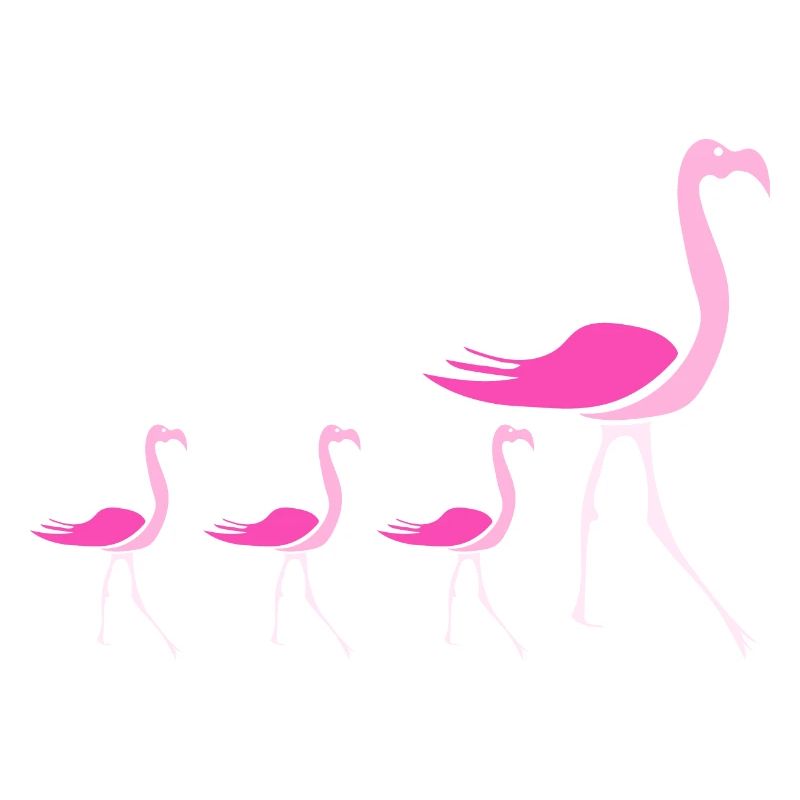 Flamingos Flamingo