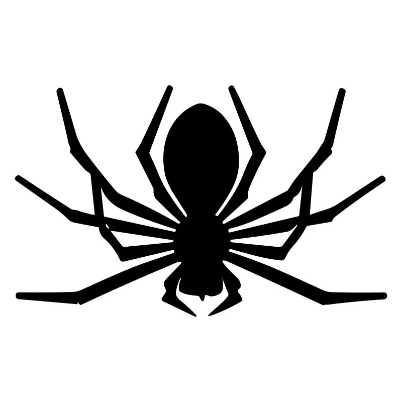 Spinne
