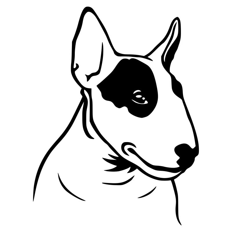 Profil de Bull Terrier (D)