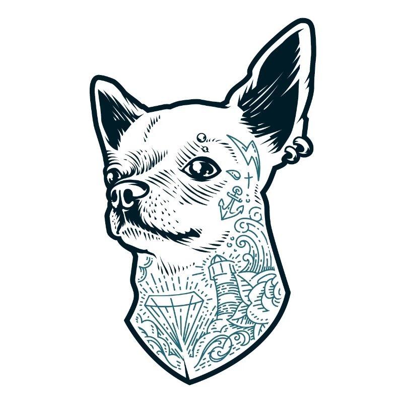 5 Hund