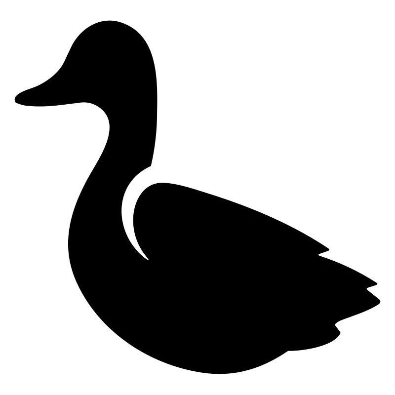 Canard