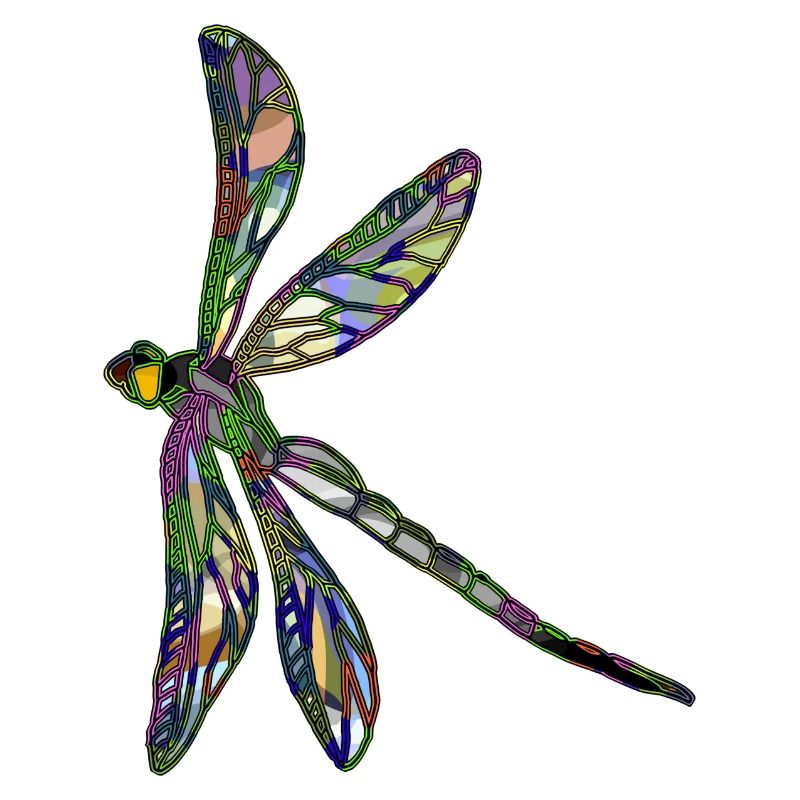 Libellule
