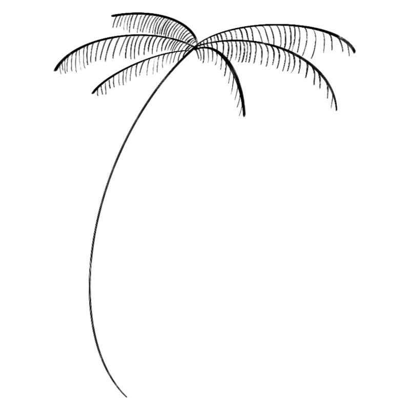 Palm tree vibes