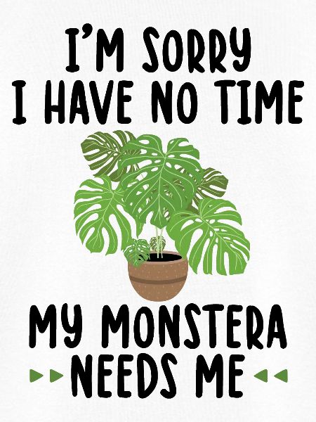 Monstera