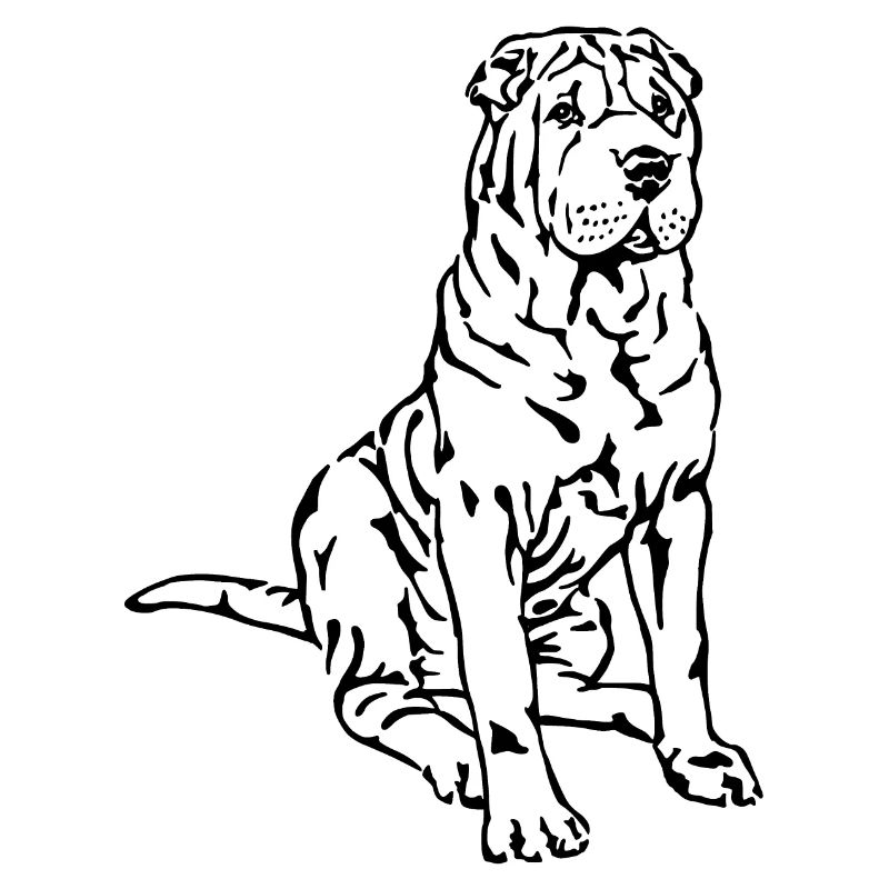 Shar-Pei