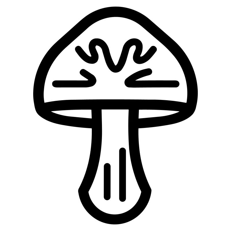 Pilz