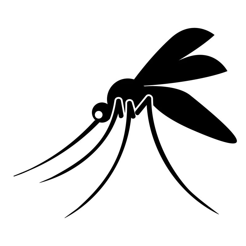 mosquito