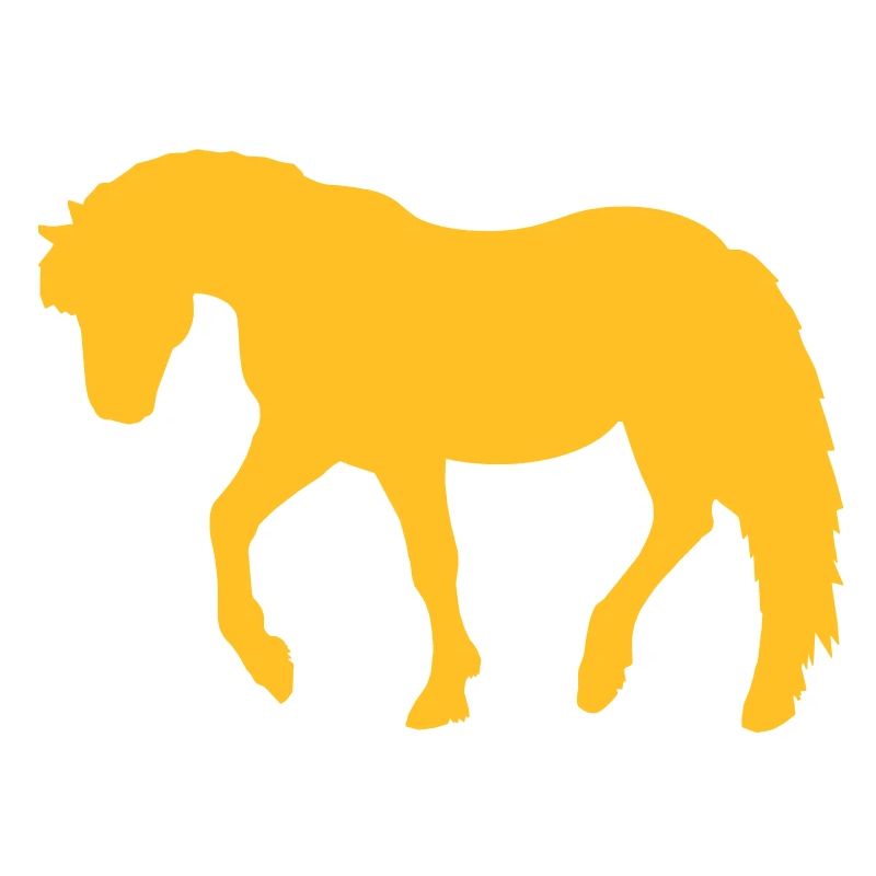 Poney