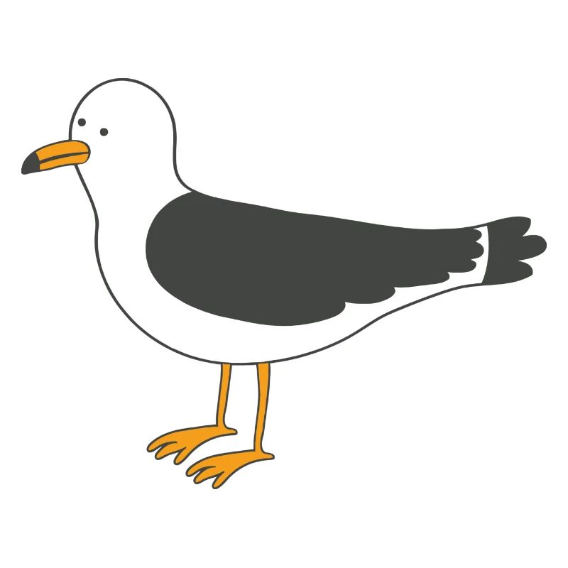 Möwe