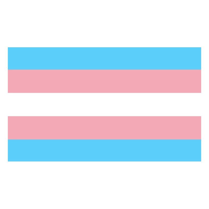 Drapeau Trans