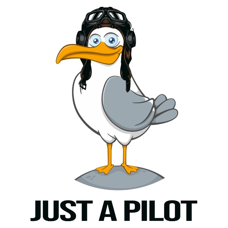 pilot fliegt flugzeug flugstunde
