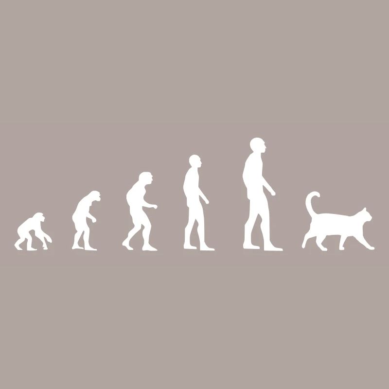 Chat - Evolution